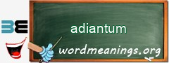 WordMeaning blackboard for adiantum